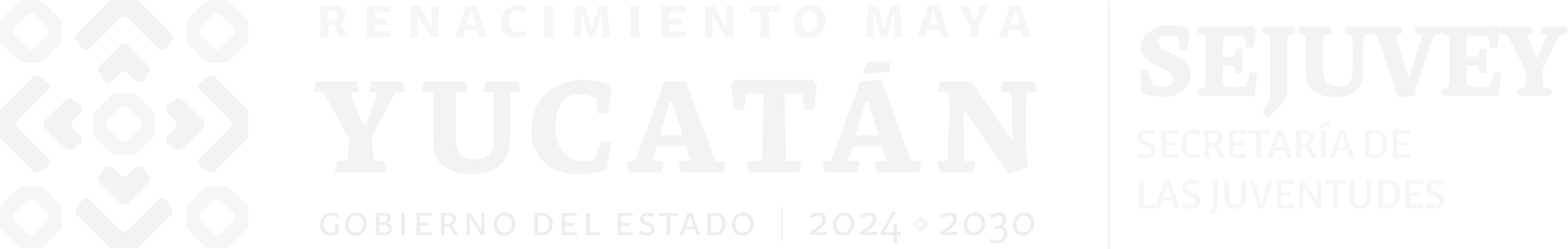 Logo SEJUVEY